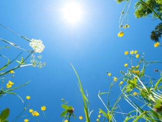 Wetterdienst: Sommer in Deutschland abermals zu heiß Wetterdienst: Sommer in Deutschland abermals zu heiß