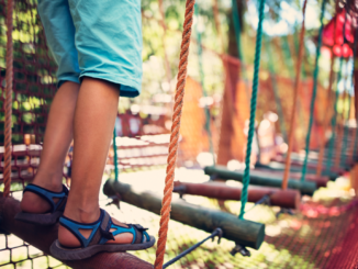 DIW sicher: 12 Milliarden Euro reichen für Kindergrundsicherung nicht aus