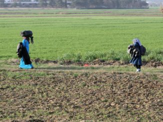 Pro Asyl kritisiert Spahns Vorstoß zur Beschränkung der Zuwanderung