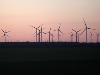 Wirtschaftsweise Grimm warnt vor Ausbleiben des „grünen Wirtschaftswunders“ Wirtschaftsweise Grimm warnt vor Ausbleiben des „grünen Wirtschaftswunders“