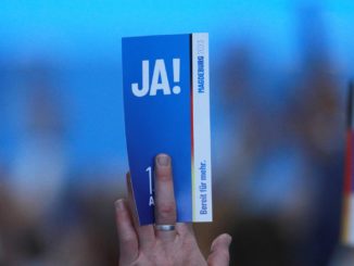 Umfrage: Jeder Dritte hat schon einmal mit dem Gedanken gespielt, die AfD zu wählen Umfrage: Jeder Dritte hat schon einmal mit dem Gedanken gespielt, die AfD zu wählen