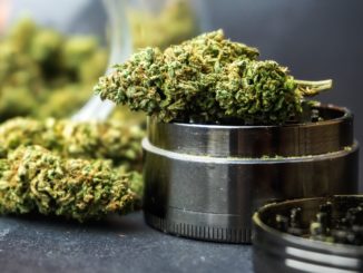 Hessens Justizminister lehnt Cannabis-Legalisierung ab