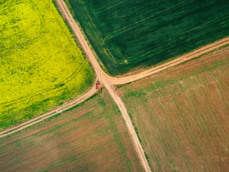 Erzeugerpreise landwirtschaftlicher Produkte sinken weiter Erzeugerpreise landwirtschaftlicher Produkte sinken weiter