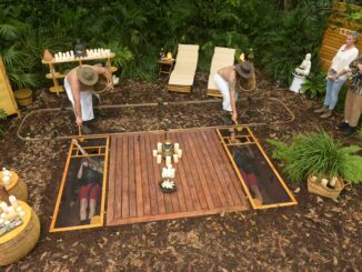#IBES 2024: Dschungelprüfung: Zehn-Sterne-Wellness für Lucy und David #IBES 2024: Dschungelprüfung: Zehn-Sterne-Wellness für Lucy und David