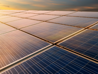 Ampel streitet über Resilienz-Bonus für deutsche Solar-Hersteller Ampel streitet über Resilienz-Bonus für deutsche Solar-Hersteller