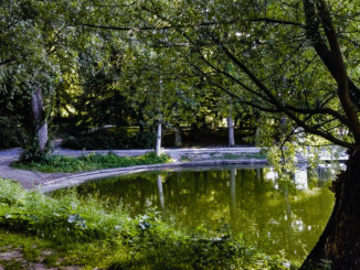 Kommentar: Wo’s am leise(n)sten knallt: Steglitz-Zehlendorf entpuppt sich als heimlicher Lustgarten Berlins Kommentar: Wo’s am leise(n)sten knallt: Steglitz-Zehlendorf entpuppt sich als heimlicher Lustgarten Berlins