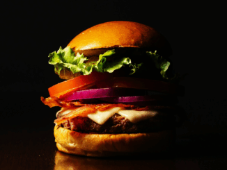 EU-Parlament verbietet Veggie-Burger: Wenn der Sojafladen zum „Pflanzenpressling“ wird EU-Parlament verbietet Veggie-Burger: Wenn der Sojafladen zum „Pflanzenpressling“ wird