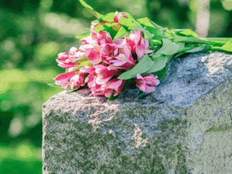 Bestattungsbranche wächst: Mehr Auszubildende, höhere Umsätze, steigende Nachfrage Bestattungsbranche wächst: Mehr Auszubildende, höhere Umsätze, steigende Nachfrage