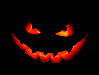 Halloween ohne Ärger: Was bei Streichen, Schäden und Versicherungen wichtig ist Halloween ohne Ärger: Was bei Streichen, Schäden und Versicherungen wichtig ist