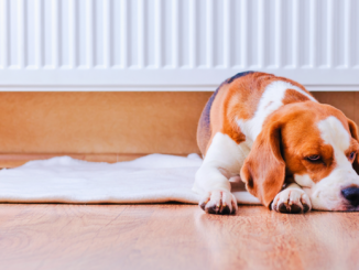 Deutsche heizen wieder wärmer – Komfort kostet im Schnitt 85 Euro extra