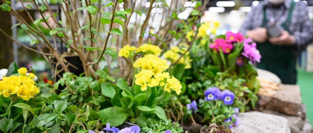 Freizeit Messe Nürnberg 2026: Camping, Reisen und Gartenideen zum Saisonstart