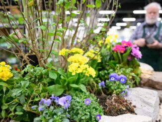 Freizeit Messe Nürnberg 2026: Camping, Reisen und Gartenideen zum Saisonstart