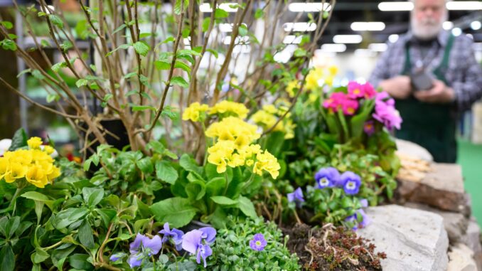 Freizeit Messe Nürnberg 2026: Camping, Reisen und Gartenideen zum Saisonstart