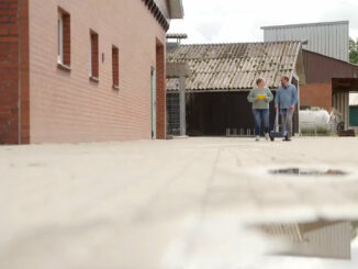 Fahrtenbuch für die Sackkarre: SAT.1 zeigt Deutschlands Bürokratie-Wahnsinn