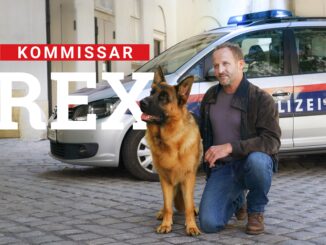 Kommissar Rex ist zurück: SAT.1 zeigt ab April sechs neue Folgen