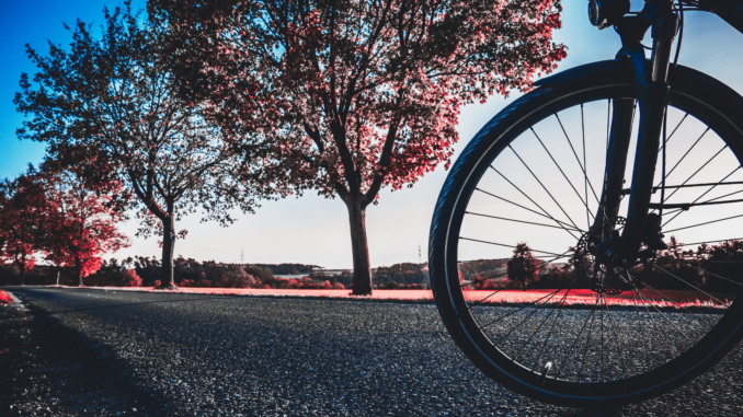 Fahrrad online kaufen: Was tun bei Montagefehler, Schaltproblemen und Akkuverlust?