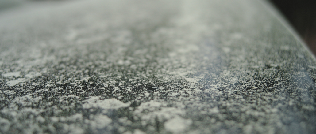 Pollensaison: Was Autofahrer jetzt wissen sollten