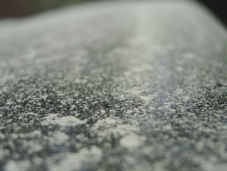 Pollensaison: Was Autofahrer jetzt wissen sollten