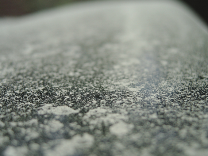 Pollensaison: Was Autofahrer jetzt wissen sollten