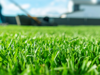 Frühlingsrasen: Diese fünf Fehler machen Gartenbesitzer jetzt am häufigsten
